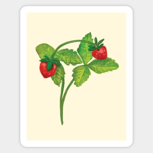 Wild strawberry (Fragaria vesca) - Illustration on beige background Sticker